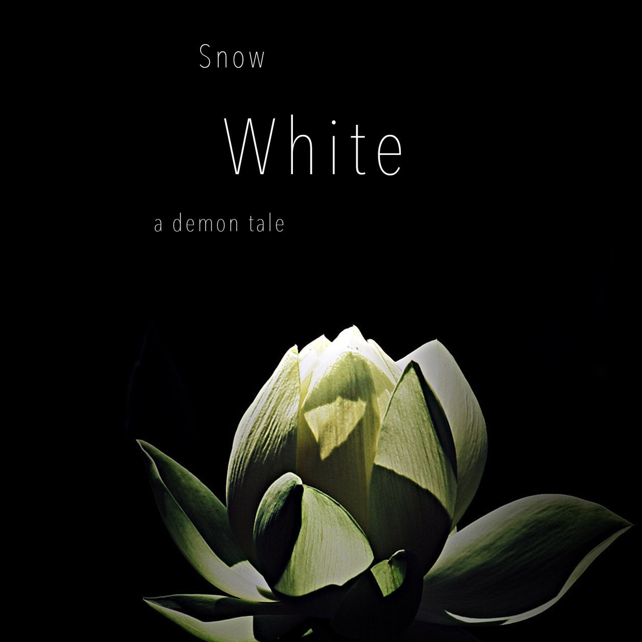 Pre-Made Book Cover Hoja Designs %Product Description%